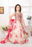 Multicolor Embroidered And Mirror Work Lehenga Choli For Girls