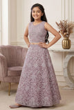 Onion Pink Embroidered Lehenga Choli with Sequin Work for Girls
