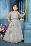 Silver Grey Embroidered Lehenga Choli For Girls
