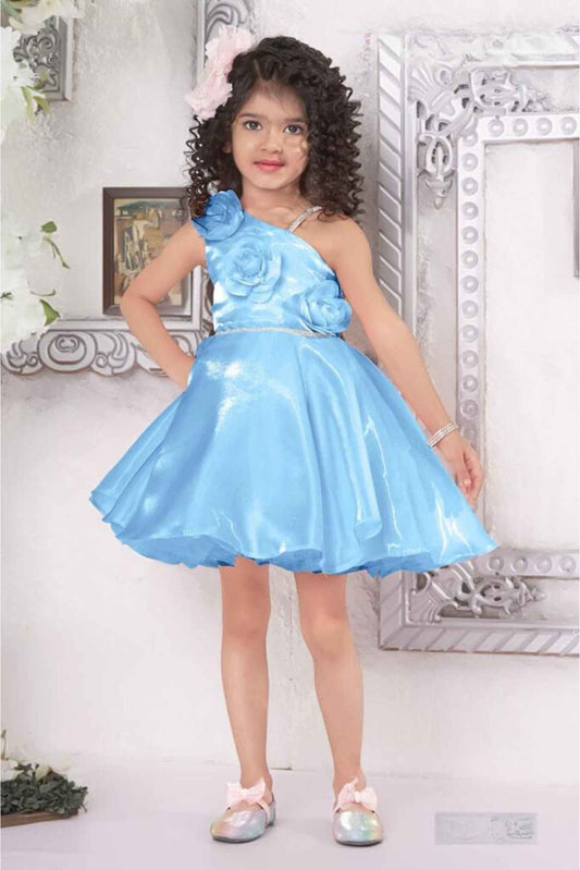 Blue Organza Frock With Floral Embellished For Girls