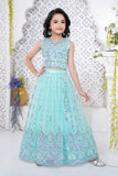 Sea Green Embroidered Lehenga Choli with Sequin Detailing For Girls