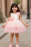 Pink & White Embellished Party Wear Frock with Floral Appliqué For Girls