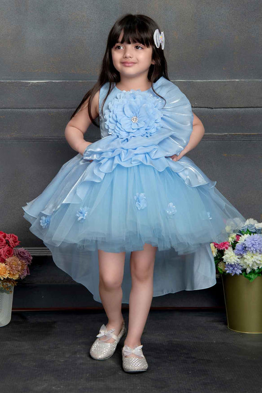 Designer Sky Blue Net Frock With Floral Embellishments For Girls