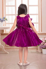 Elegant Wine Floral And Butterfly Embellished Frock For Girls