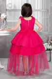 Rani Pink Floral Embellished Party Wear Tailback Frock For Girls
