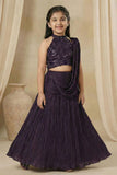 Plum Purple Sequinned Lehenga Choli Set With Dupatta For Girls