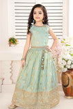Pastel Green Sequins Embroidered Lehenga Choli For Girls