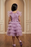 Girls Lavender Ruffle Skirt Set with Embroidered Top And And Ruffle Detailing