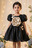 Black Floral Party Wear Frock For Baby Girls