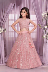Blush Pink Heavy Sequin Embroidered Lehenga Choli Set For Girls