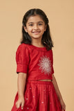 Deep Red Embroidered Lehenga Choli Set For Girls