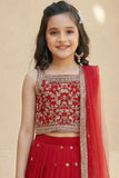 Red Embroidered Lehenga Choli with Dupatta For Girls