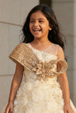 Cream Party Wear Gown with Floral Appliqué For Girls