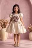 Fawn Floral Party Wear Frock For Baby Girls