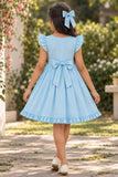 Girls Sky Blue Floral Embroidered Ruffle Sleeve Flared Dress