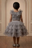 Girls Grey Layered Skirt Set with Embroidered Crop Top And Ruffle Detailing