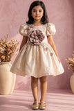 Fawn Floral Party Wear Frock For Baby Girls