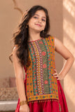 Red Multicolour Printed Palazzo Set for Girls