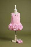 Baby Pink Rosette Hem Party Wear Frock