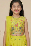 Yellow Multi-Color Embroidered Lehenga Choli Set for Girls