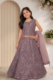 Elegant Pink Embellished Lehenga Choli Set for Girls