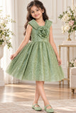 Girls Sage Green Party Wear Frock with 3D Floral Bow And Sequin Detailing