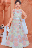 Sky Blue Floral Embroidered Lehenga Choli Set With Dupatta For Girls