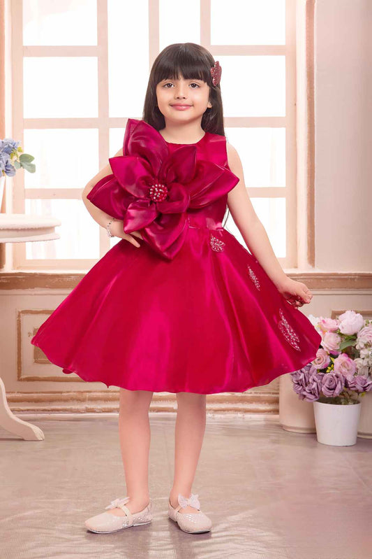 Elegant Rani Pink Floral And Butterfly Embellished Frock For Girls