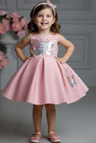 Dusty Pink Butterfly Sequin Party Frock For Girls