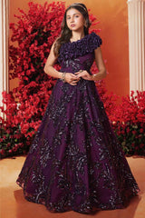 Elegant Plum Sequin Embroidery Partywear Gown For Girls