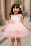 Pink & White Embellished Party Wear Frock with Floral Appliqué For Girls