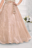 Fawn Embroidered Lehenga Choli Set with Dupatta For Girls