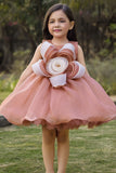 Girls Peach Floral Applique Party Dress