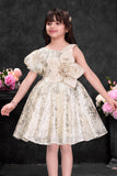 Fawn Sequin Party Wear Frock with Statement Floral Detail For Girls