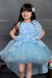 Designer Sky Blue Net Frock With Floral Embellishments For Girls