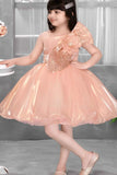Peach Shimmer Party Frock with Sequin Bow and 3D Flower Detail For Girls