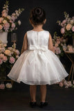 Girls White  Party Frock With Black Floral Applique