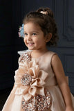 Champagne Blue Floral Party Wear Frock For Baby Girls