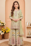 Pista Green Zari Embroidered Designer Wear Palazzo Set