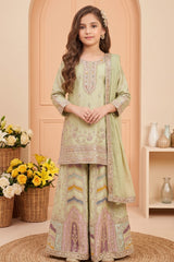 Pista Green Zari Embroidered Designer Wear Palazzo Set