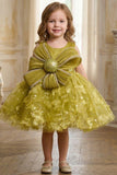 Girls Green Party Wear Frock with Statement Bow