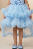 Blue High-Low Party Wear Tulle Frock With Flower Embellishment For Girls