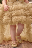 Girls Fawn Sequin High-Low Party Wear Frock
