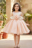 Peach Shimmer Party Wear Frock with 3D Floral Appliqué For Girls