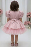 Dusty Pink Floral Embroidered Puff Sleeve Party Frock For Girls