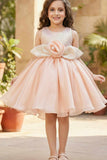 Peach Shimmer Party Wear Frock with 3D Floral Appliqué For Girls