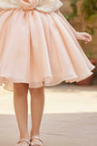 Peach Shimmer Party Wear Frock with 3D Floral Appliqué For Girls