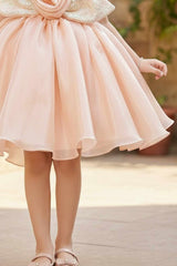 Peach Shimmer Party Wear Frock with 3D Floral Appliqué For Girls