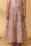 Baby Pink Floral Embroidered Lehenga Choli Set For Girls