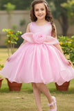 Pink Shimmer Party Wear Frock with 3D Floral Appliqué For Girls